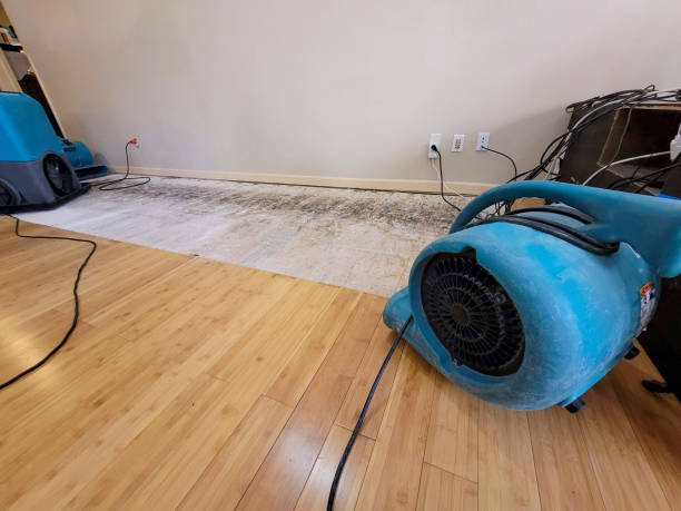 Professional Water Damage Repair technician working in Lyons, MI